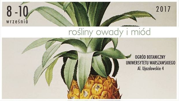Warszawski Festiwal Kulinarny „Rośliny, Owady i Miód” Warszawski Festiwal Kulinarny „Rośliny, Owady i Miód”